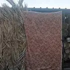 شبوك طيور للبيع