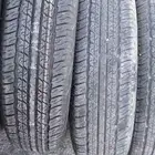 كفرات جمني شدبلد