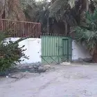 مزرعة للايجار