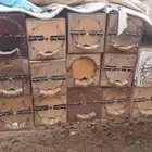 خلاي نحل فاضي للبيع الموقع بارق