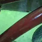 للبيع سيكل رامبو اندونوسي مرشوش