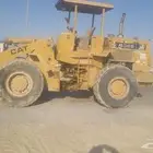 شيول للئيجا اليومي والشهرية