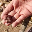 احجار كريمه للبيع
