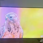 شاشه سامسونج 55 بوصه سمارت