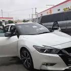مكسيما 17 نص فل بدي وكاله
