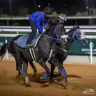 خيال مشغل خيل في منطقة القصيم محتاج شقول