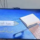 شاشه دنسات 50 بوصه