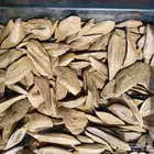 عود مروكي محسن