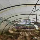 لتفاصيل راجع لعلان اسابق