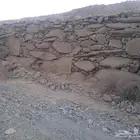 محايل عسير البرك قنا الحريضه
