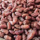 تمر صفري صافي جديد