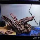 حوض سمك جديد 60 فى 30 فى 50