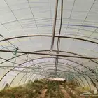 4 بيوت محميه 2 فرنسي مجلفن 4وصل و 2وطني مقسمه 3بيوت