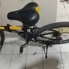 ان شاء الله امورها كويسه