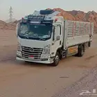 دينا مشوار