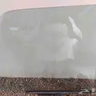 قزازة باب ربع 2024 و2025 وكاله