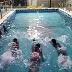 تعليم سباحة