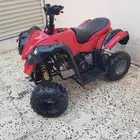 دباب شغال نظيف