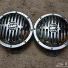 بوري بوش جديد