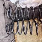 يايات فكتوريا بوليسي