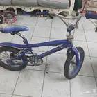 سيكل كوبرا يبغاله لستك كفرات نظيفه على السوم