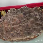 بلورات كبيرة اماتيست جمشت امتيست حجر احجار نيزك نيازك