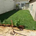 ثيل طبيعي سي 2000 درجه اولى