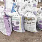 تمور اعلاف الحلال حشف