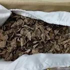 عود سليلاني قواقع صغيره دبل سوبر