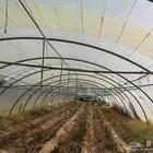 بيوت محميه للبيع