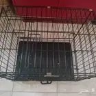 قفص
