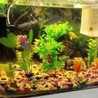 fish all aquarium 200Sr