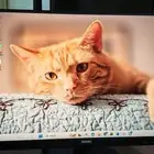 PS5 Slim and 100Hz Monitor.