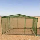 مطلوب شبك دجاج