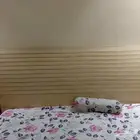 اثاث