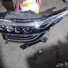 شمعه سيلتوس