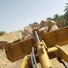 سائق شيول.