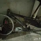 سيكل رامبو سيكل كوبرا للبيع
