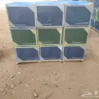 نحل مصري خالي من الامراض