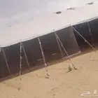 بيت شعر جميع مكاست موجدين هيك حديد