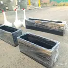 مؤسسة زهرة الخليج الزراعية -نجران -دحضة