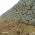 جدارات حجر بللسمر