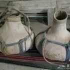 في ظهران الجنوب