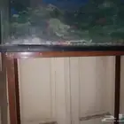 حوض سمك استخدام قليل