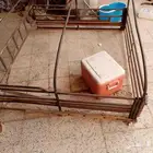 شد ددسن للبيع