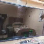 اشة توشيبا 50 بوصة