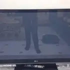 شاشه