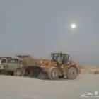 سائق شيول