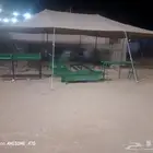 مضلات غنم