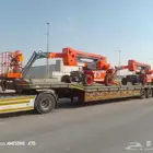 لوابد متواجد في القصيم